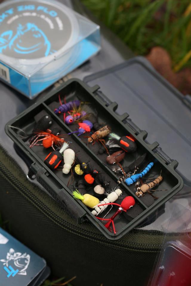 For Carp - 625422176021075879539488980895n.jpg